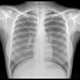 Illustration for article titled Adventures in Health